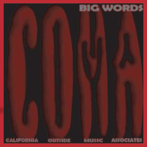 C.O.M.A. Big Words