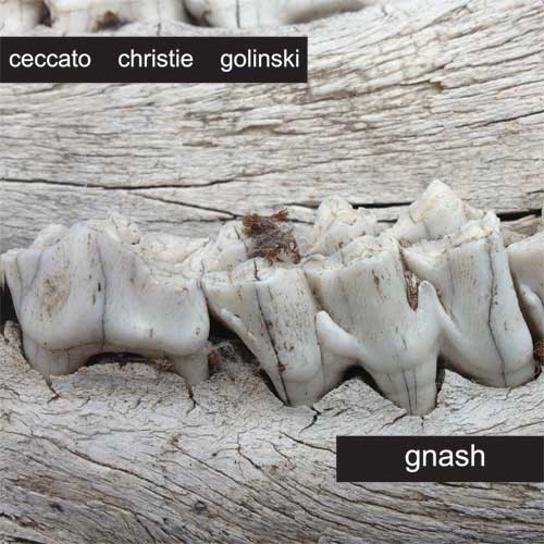 Ceccato, Christie, Golinski - Gnash