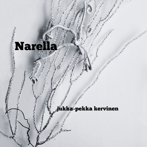 Jukka-Pekka Kervinen - Narella